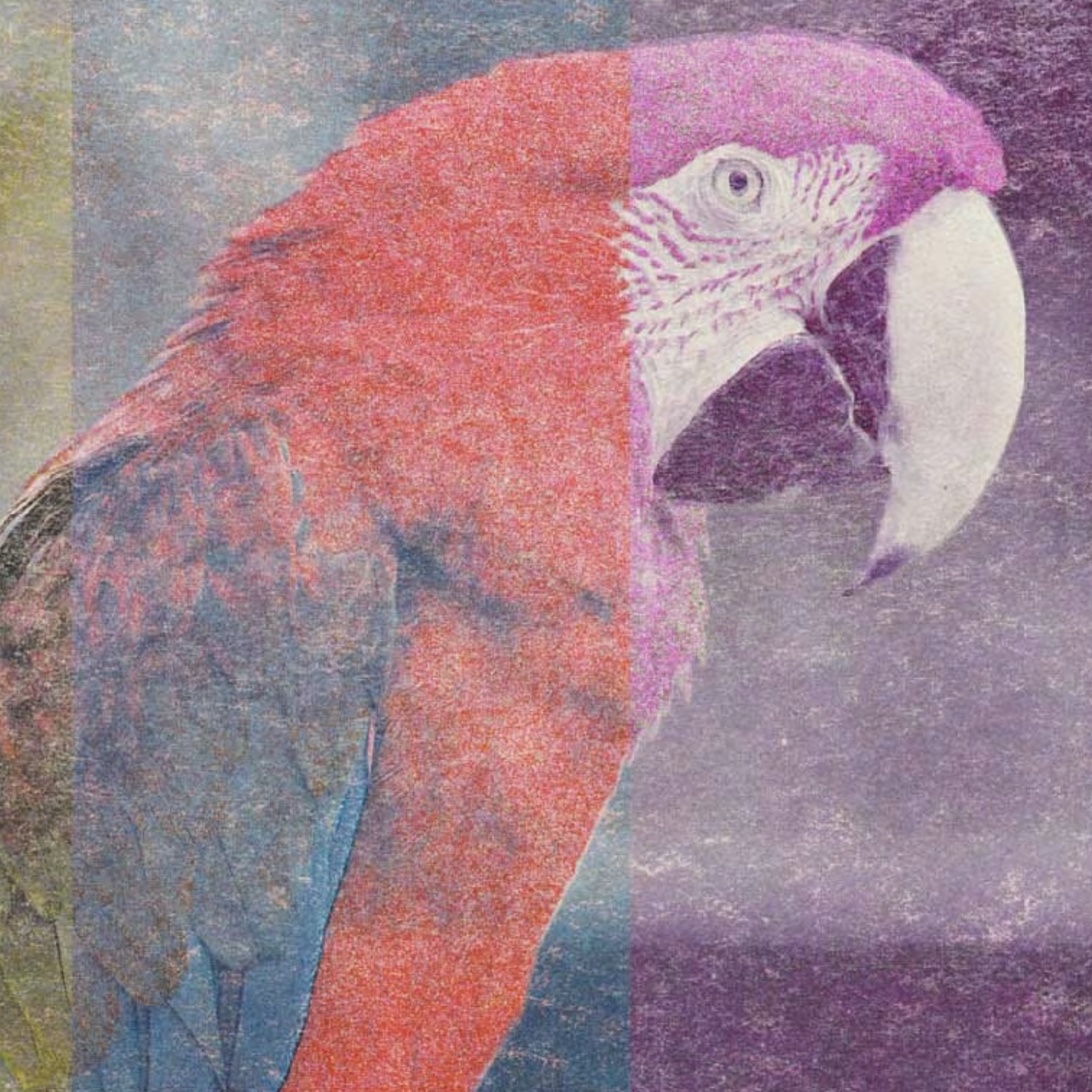 Intro to Risograph Printing